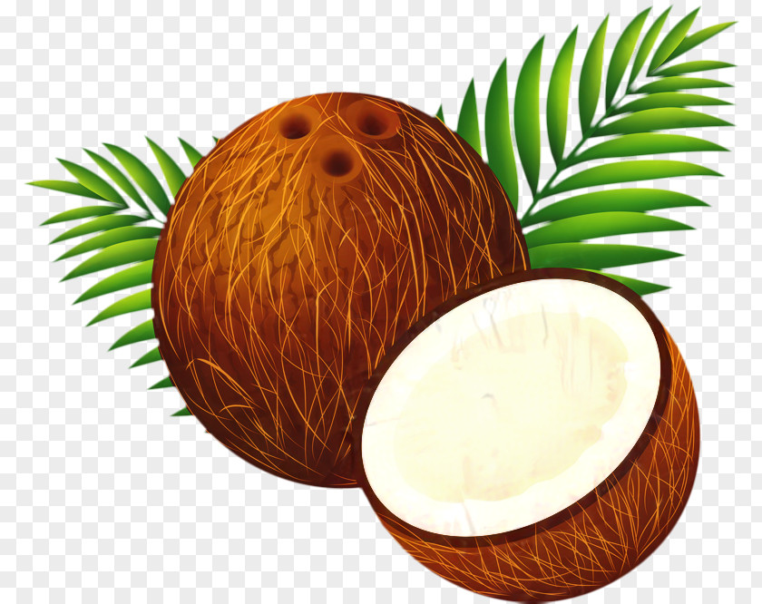 Food Fruit Coconut Tree Drawing PNG