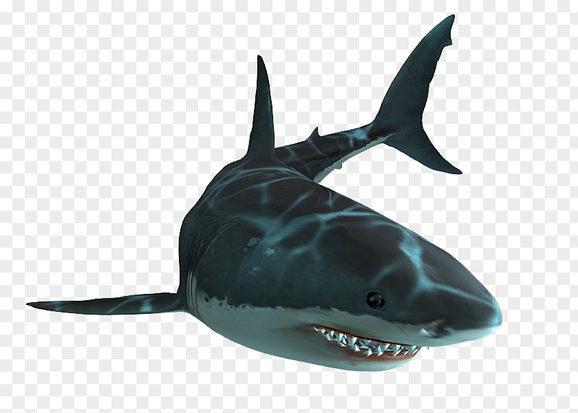 Sharks Jaws Unleashed Shark PlayStation 2 Great White PNG