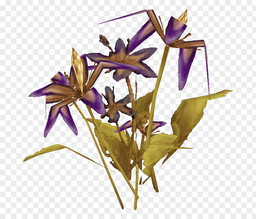 World Of Warcraft Herb European Union Flowering Plant Flora PNG