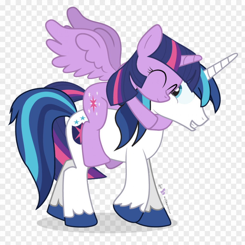 Brother And Sister Clipart Twilight Sparkle Flash Sentry Pony Shining Armor Rainbow Dash PNG