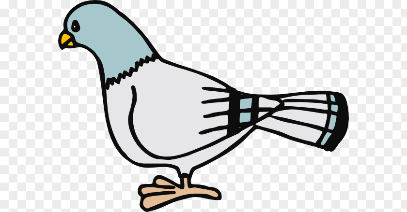 Clipar Homing Pigeon Columbidae Free Content Clip Art PNG