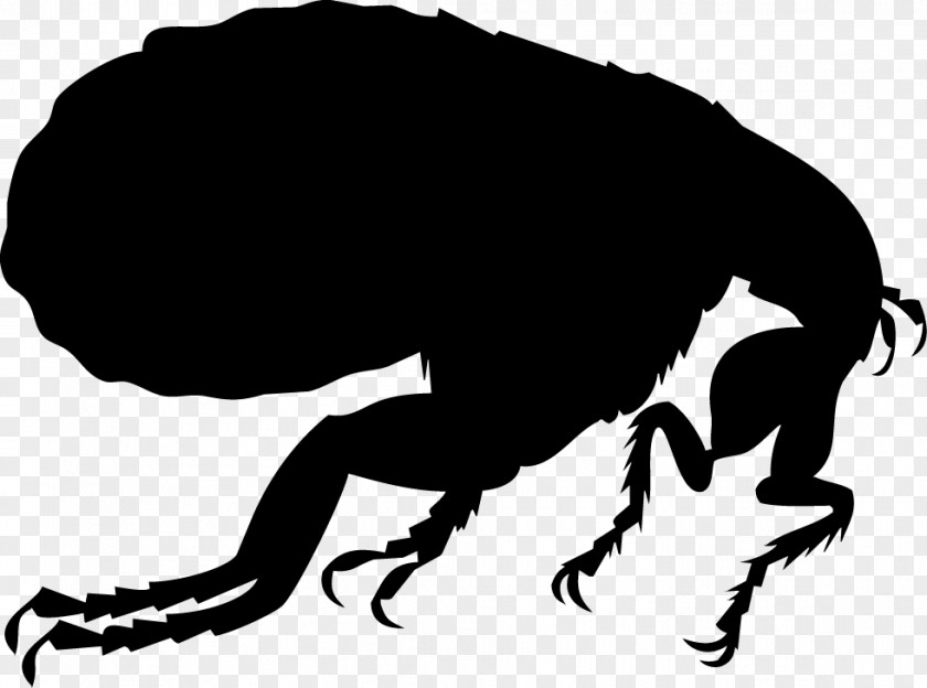 Flea Dog Silhouette Illustration PNG