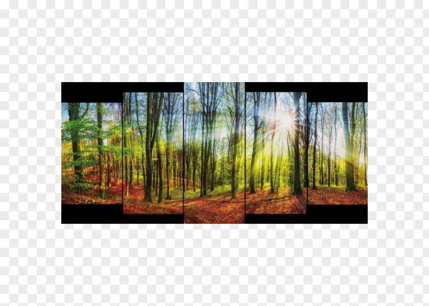 Forest Decoration Stock Photography Royalty-free Hunting Painting PNG