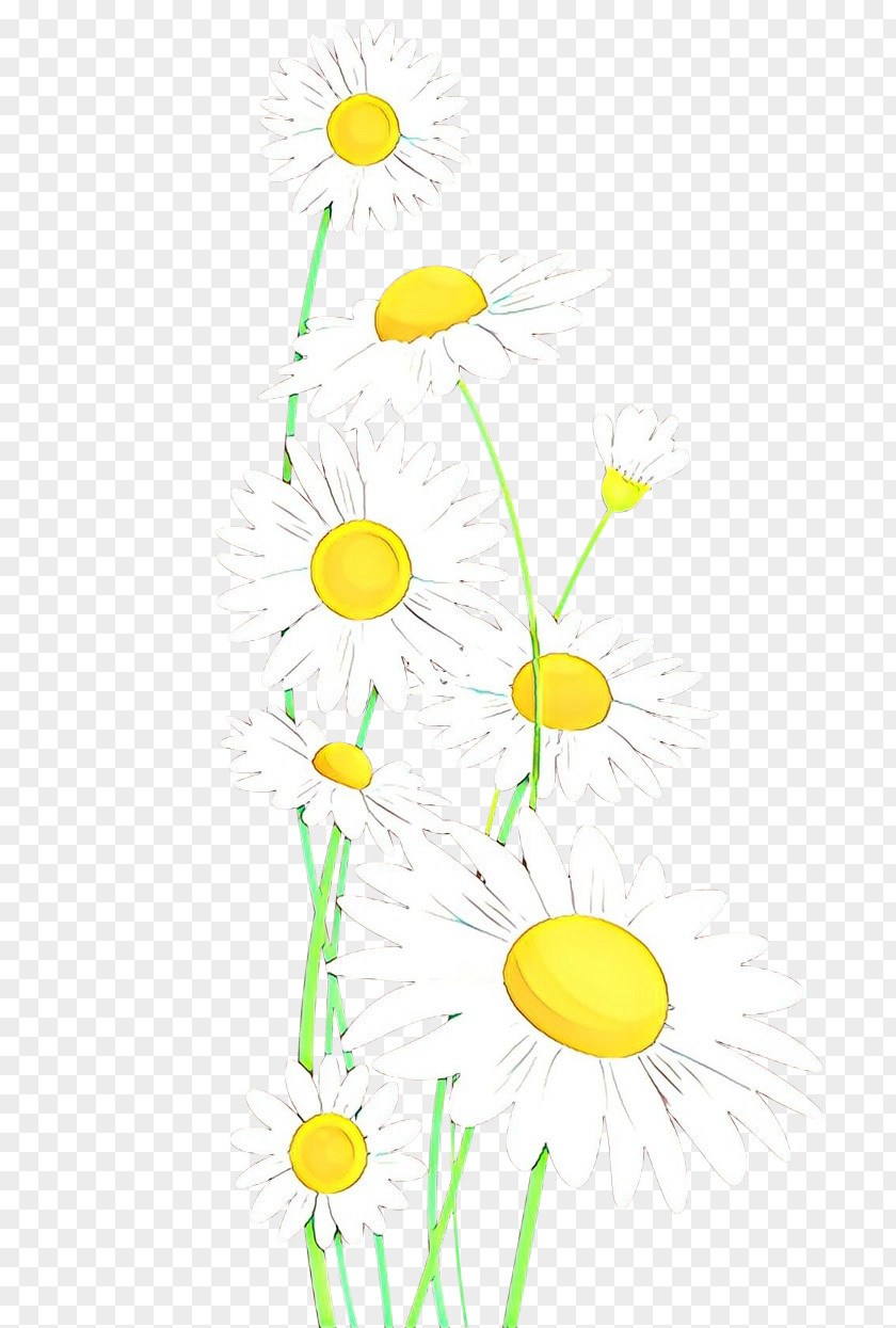 Pedicel Wildflower Floral Design PNG