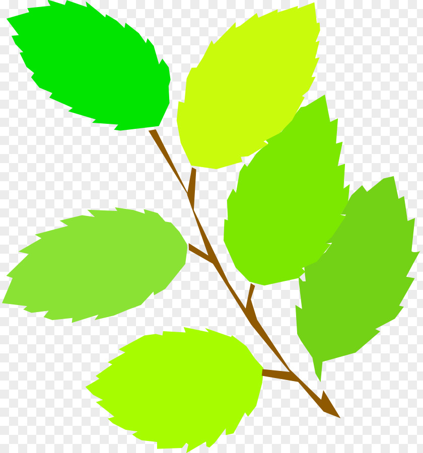 Big Leaves Cliparts Spring Clip Art PNG
