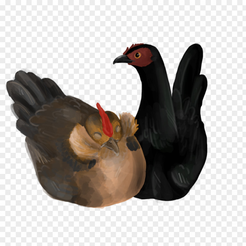 Chicken As Food Rooster Drawing Stuffing PNG