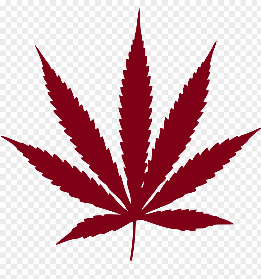 Marijuana Cannabis Ruderalis Leaf Medical Clip Art PNG