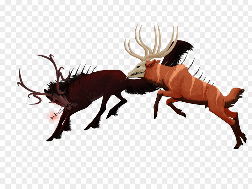 Reindeer Insect Wildlife PNG