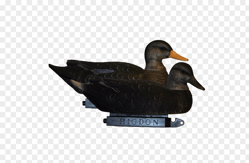 Duck Mallard Decoy Super Magnum Goose PNG