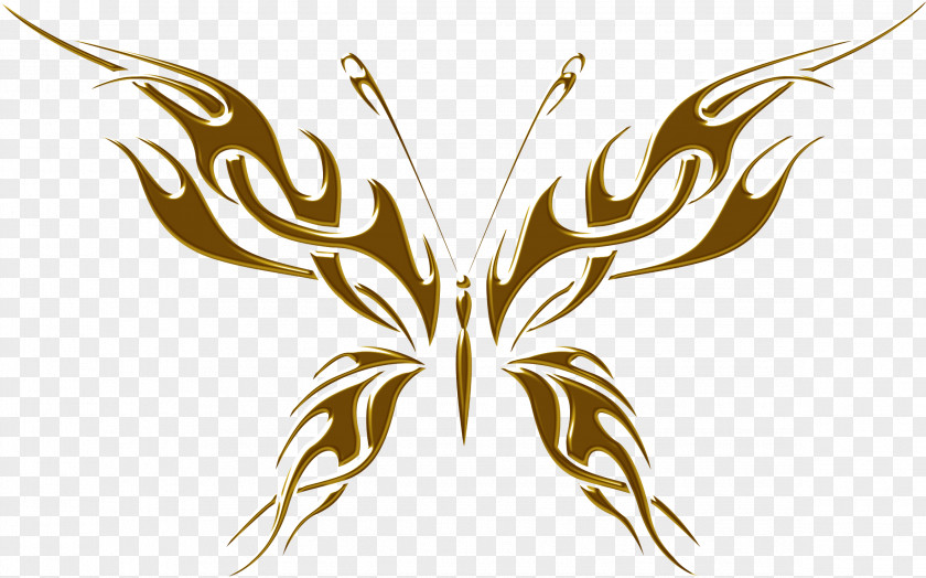 Golden Butterfly Tattoo Tribe Decal PNG