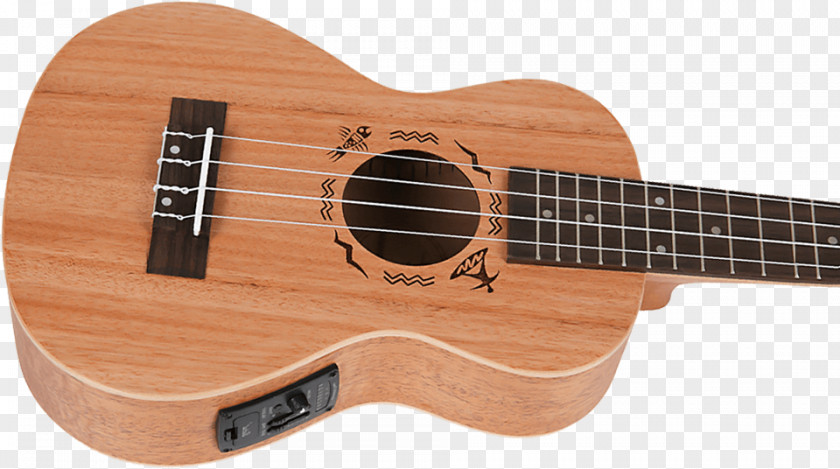 Hawaiian Instruments History Ukulele Acoustic Guitar Acoustic-electric Bass Cuatro PNG