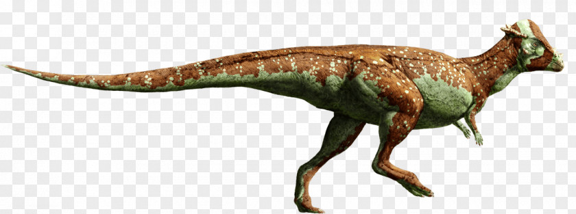 Jurassic World: Fallen Kingdom Pachycephalosaurus Velociraptor Suchomimus Triceratops Stegosaurus PNG