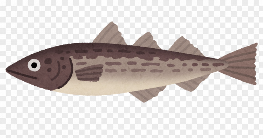 Nine Fish Pollock Roe Alaska Cod Gadidae Mackerel PNG