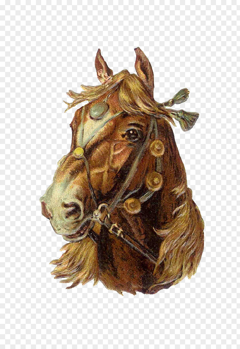 Antique Horseshoes Shire Horse Clip Art Friesian Belgian American Paint PNG