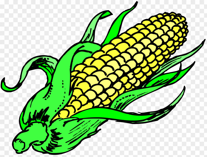 Corn On The Cob Popcorn Maize Sweet Vegetable PNG