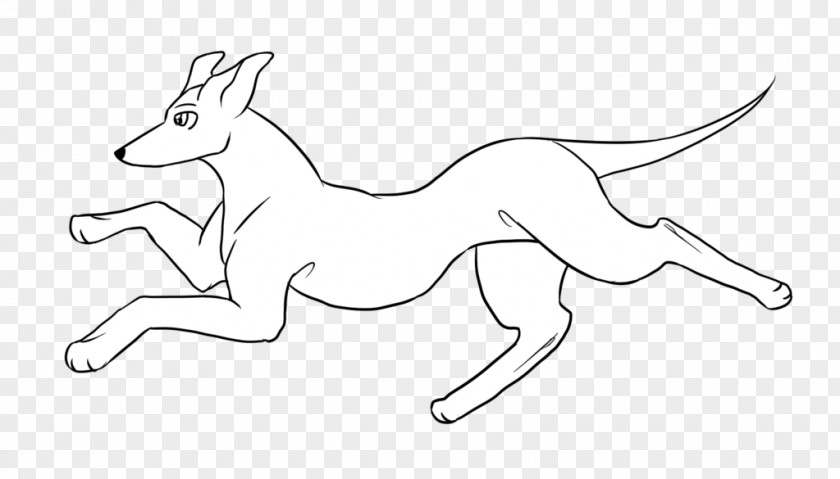 Greyhound Macropodidae Line Art /m/02csf Drawing Horse PNG