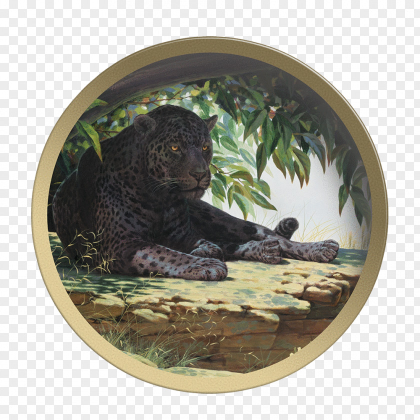 Painting Artist Leopard Guy Coheleach's Animal Art PNG