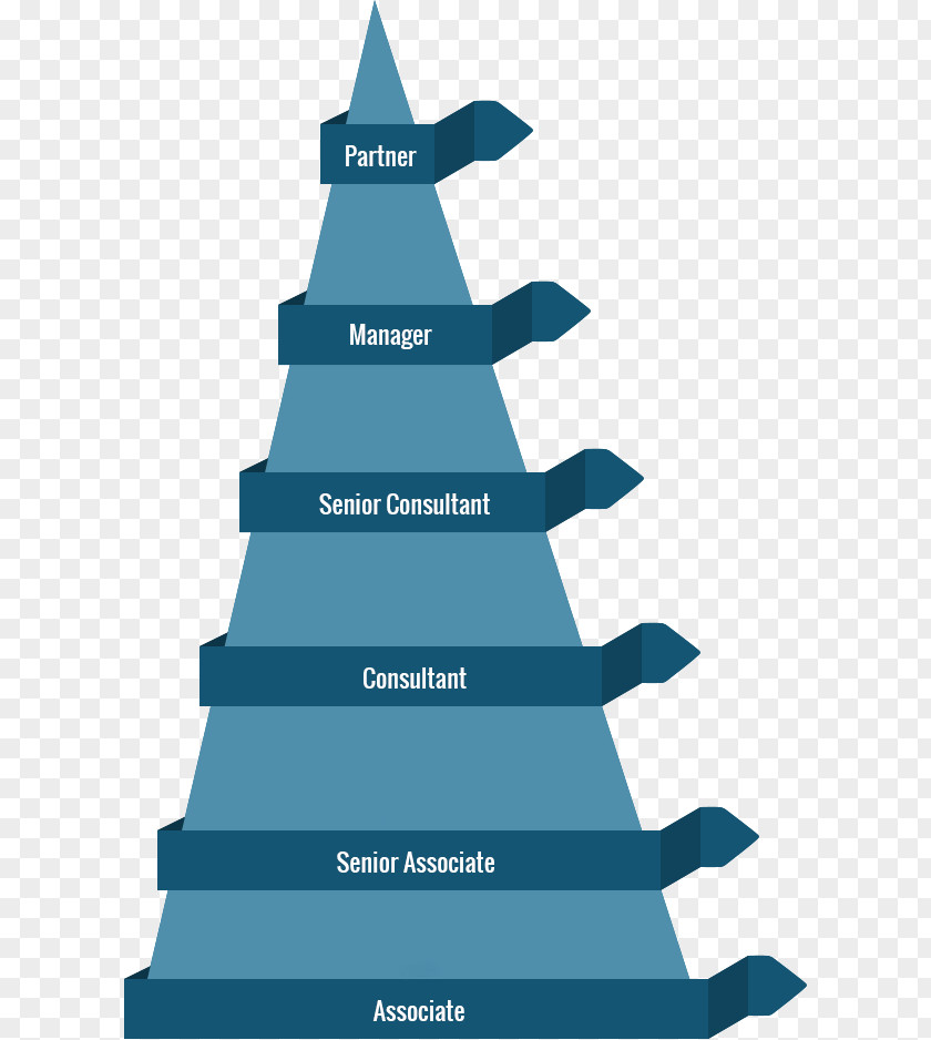 Christmas Tree Career Fir Structure PNG