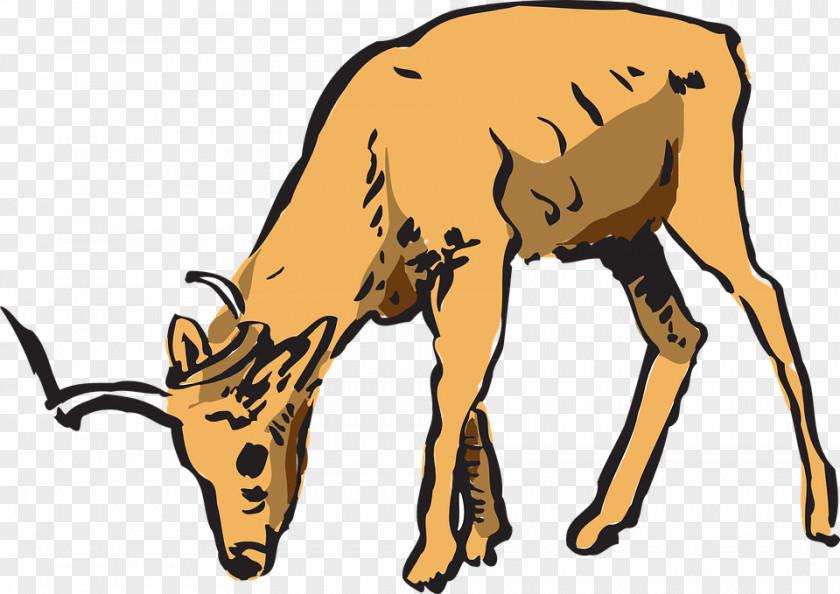 Deer Impala Antelope Clip Art PNG