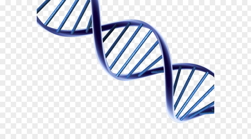 Dna Backgaund DNA Nucleic Acid Double Helix Clip Art Image PNG