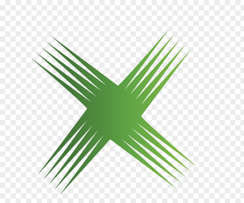 Green Abstract X PNG