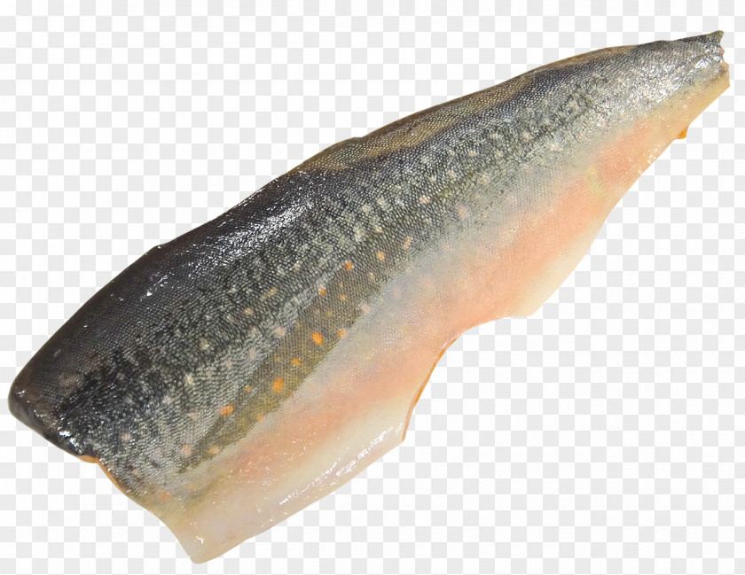 SALMON Sashimi Fishing Seafood Salmon PNG