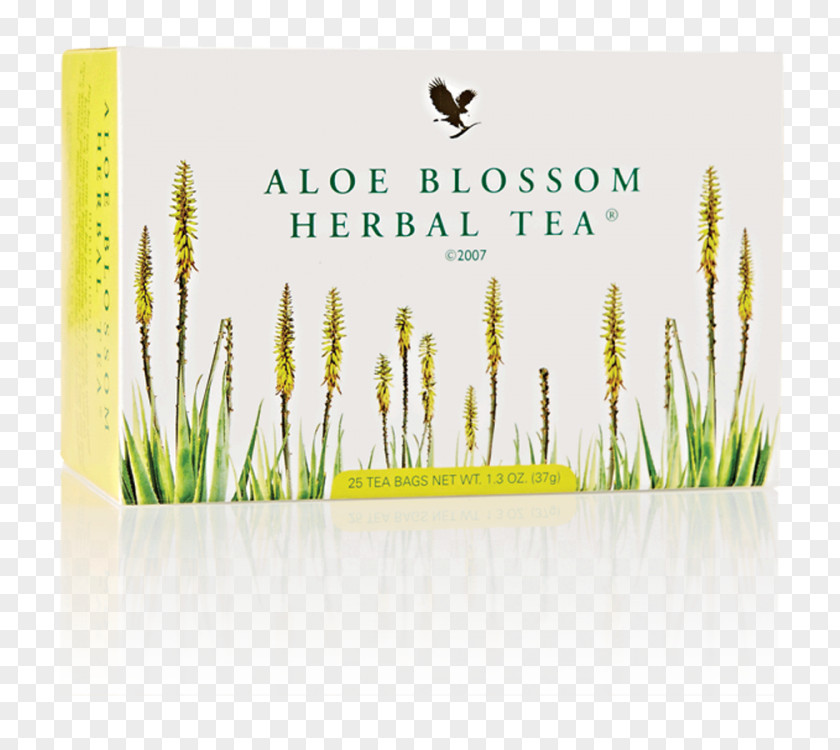 Tea Herbal Forever Living Products Aloe Vera PNG