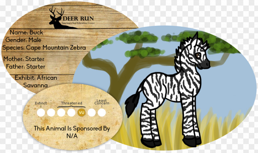 Cape Mountain Zebra Quagga Mammal Horses Giraffe PNG