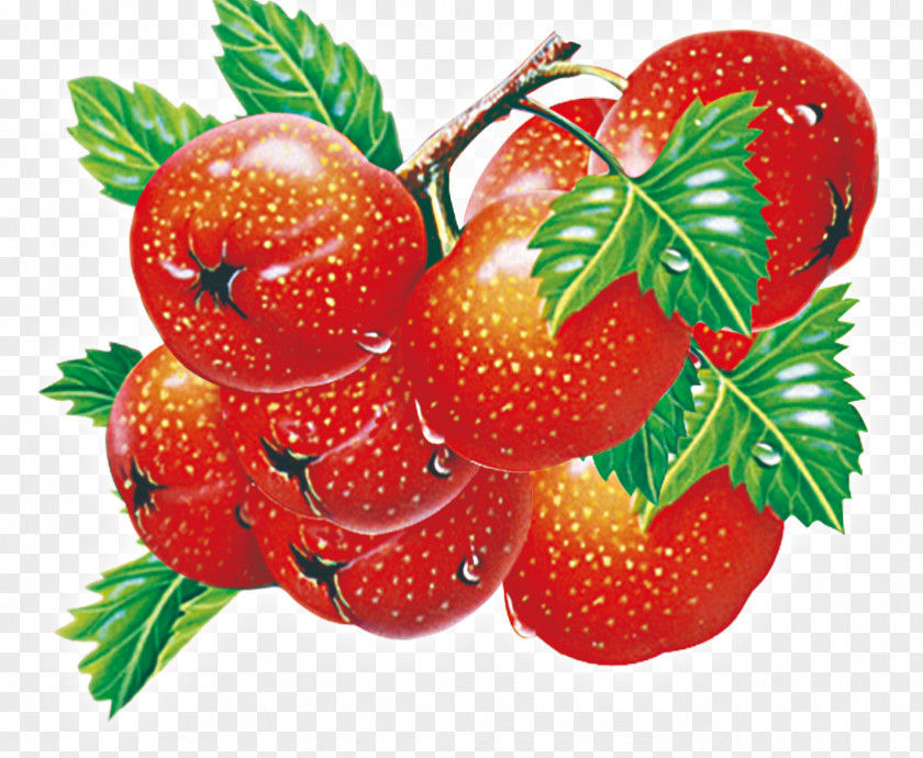 Cherry Strawberry Accessory Fruit Food Vegetable PNG
