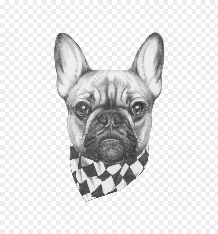 Painting French Bulldog Art Drawing PNG