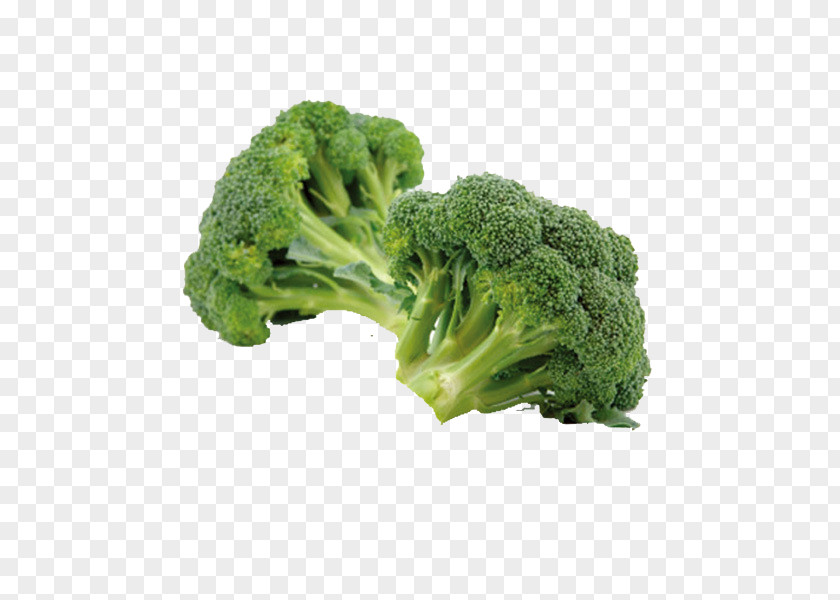 Vegetables Broccoli Organic Food Cream Of Soup Cruciferous PNG
