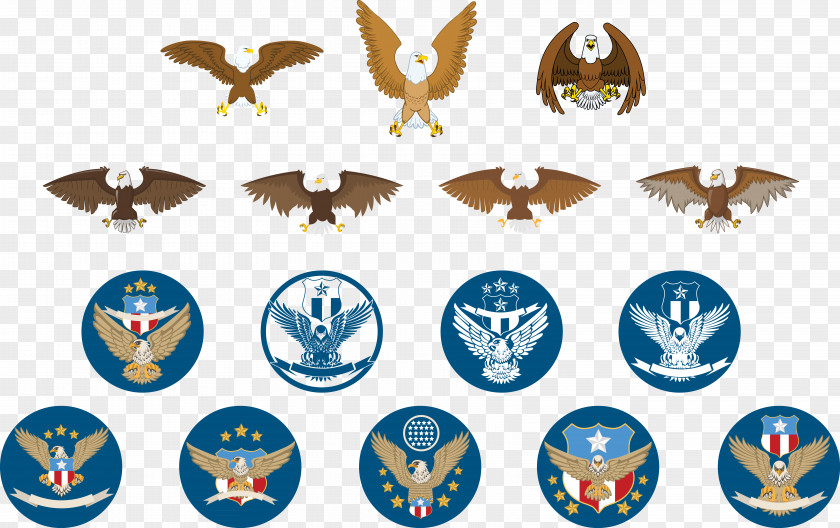 All Kinds Of Vector Material Eagle Bird Pixabay Illustration PNG