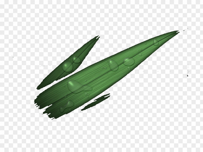 Do It Yourself Leaf PNG