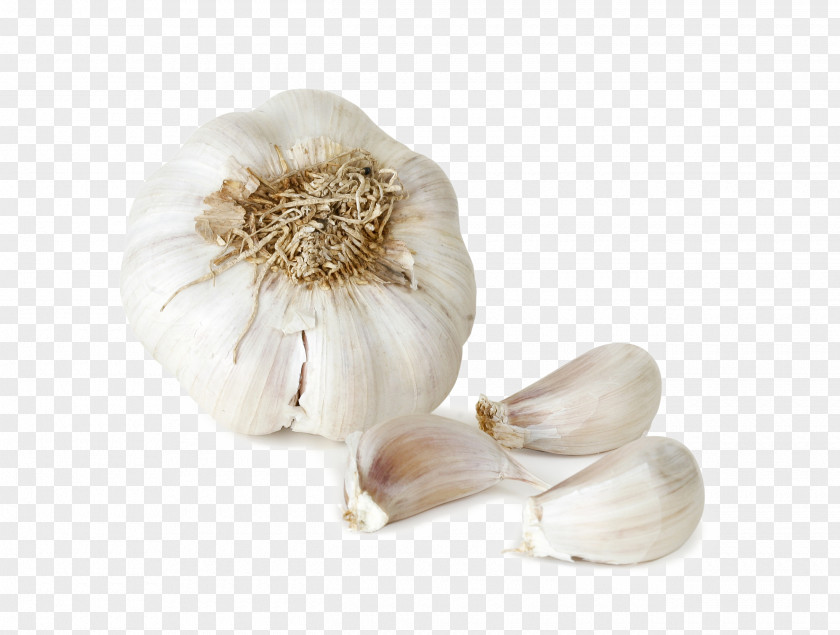 Garlic Italian Cuisine Vegetable Food Onion PNG
