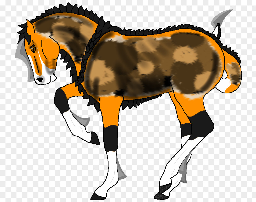 Horse Mule Stallion Foal Colt PNG