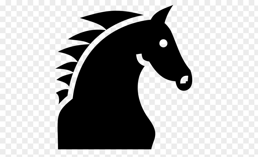 Horse Stallion Clip Art PNG