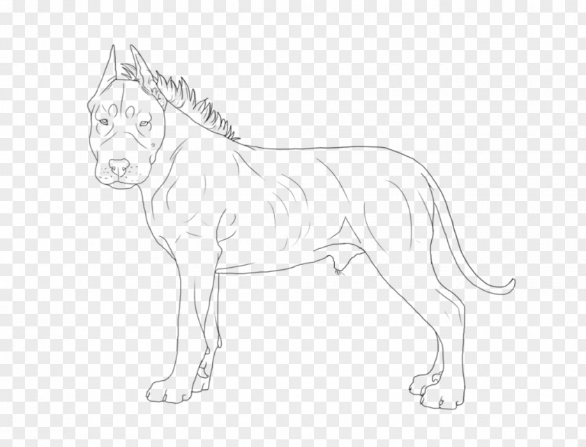 Lion Line Art Dog Drawing Painting PNG
