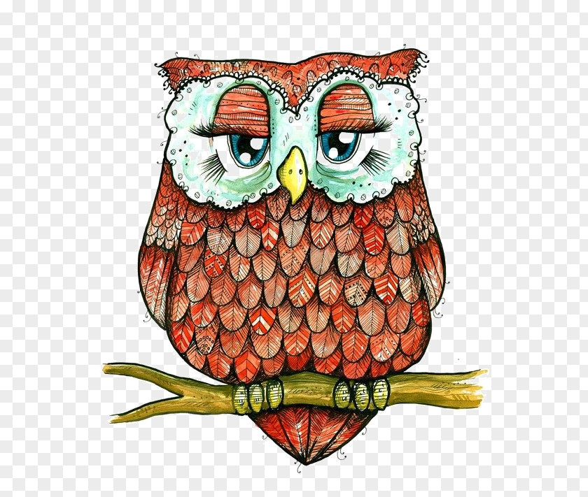 Owl Throw Pillows Cushion Couch PNG