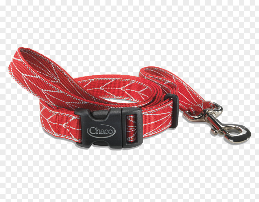 Red Collar Dog Leash Webbing PNG