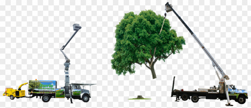 Tree Aerial Work Platform Truck Mode Of Transport PNG