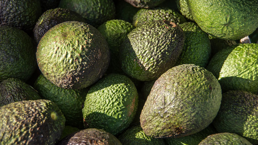 Avocado Hass Fruit Food Auglis Plant PNG