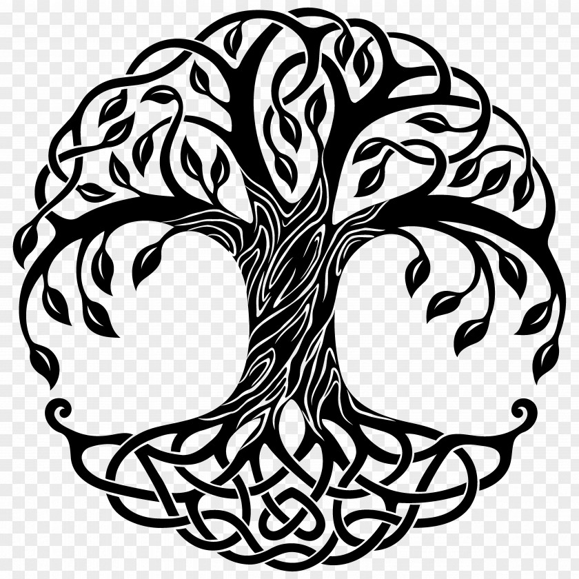 Celtic Style Tree Of Life Drawing PNG