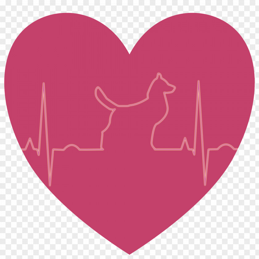 Dog Electrocardiography Heart Arrhythmia Image PNG