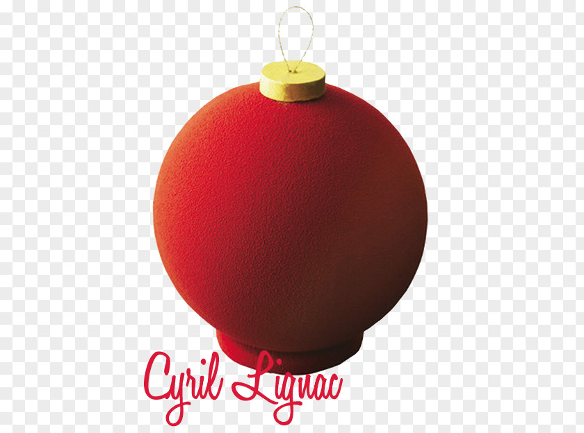 Maison De Style Nouvelleangleterre Christmas Ornament Product Design Day PNG