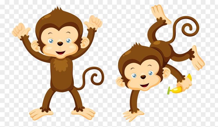 Old World Monkey Animation Cartoon PNG