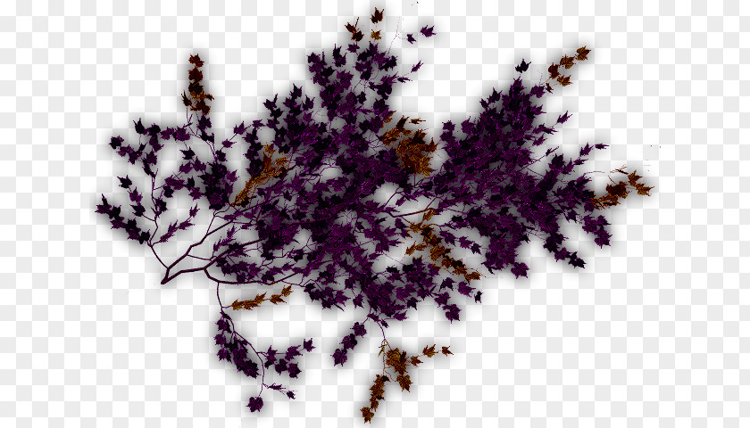 Purple Creeper Clip Art Plants Vine Image PNG
