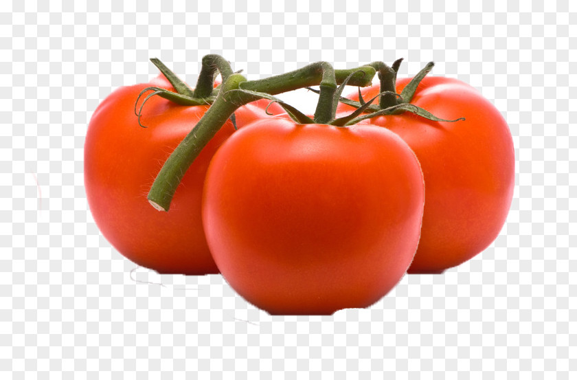 Still Life Photography Vegetarian Food Tomato Cartoon PNG