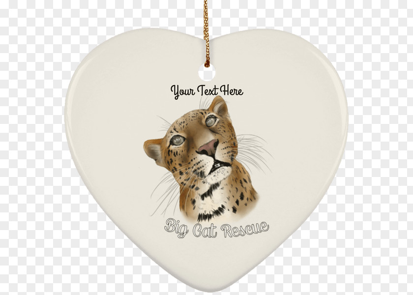 Cat Whiskers Bobcat Christmas Ornament Day PNG
