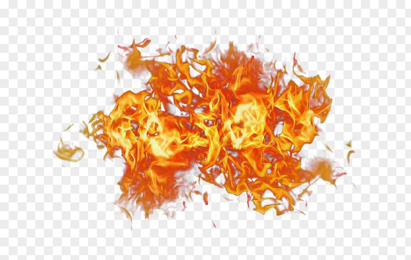 Orange PNG