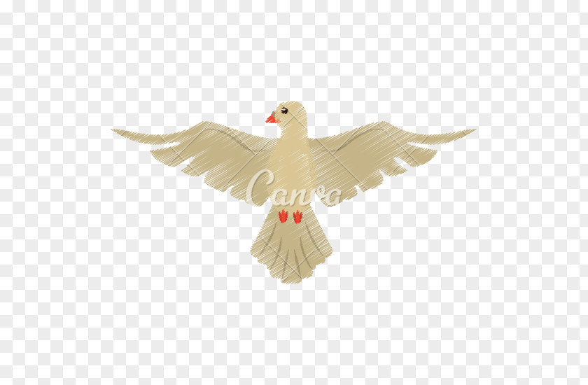 Spirit Columbidae Doves As Symbols Drawing Holy PNG